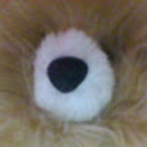 Meet your Posher, Trina